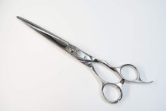 Item thumbnail for item 94510f97-acd1-4806-bb08-7b5e4ee29206