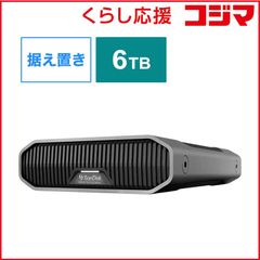 未使用】高速 SanDisk Professional PRO-G40 4TB - メルカリ
