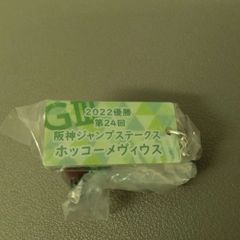 競馬アイドルホースコレクション　2022優勝第24回阪神ジャンプステークス　ホッコーメヴィウス