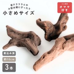 天然流木339 アク抜き処理済み 沈水処理済み ビオトープ 水槽