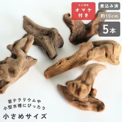 2026年最新】屋久島産ビカクシダの人気アイテム - メルカリ