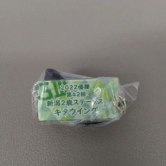 競馬アイドルホースコレクション　新潟2歳ステークス　キタウイング