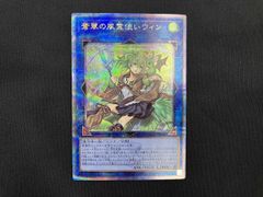 蒼翠の風霊使いウィン 25th SE [QCCU-JP188] - メルカリ