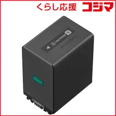 2026年最新】NP-FV100Aの人気アイテム - メルカリ