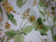 Item thumbnail for item c5ead4ab-063a-4803-acb1-ab2a90488b4e