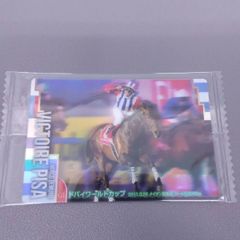 ウシュバテソーロ 川田将雅 サイン サラブレッドホースコレクション 第