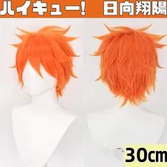 【RuijnCOS】ハイキュー!  日向翔陽 コスプレ ウィッグ ネット付き ズートピア ニック BLEACH 一護 オレンジ ショート 男装 30㎝ 260304W002