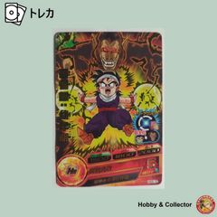 孫悟空 HJ5-16 ドラゴンボールヒーローズ ( #14363 ) - メルカリ