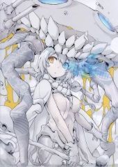 [중고] 동인 액세서리·소품계 [함대 이거 쿵~함이~] A4 클리어 파일 항모 ヲ급(붉은 사과) C92/az+play
