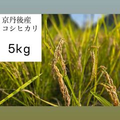 メルカリ市限定！栃木のお米・コシヒカリ♡白米15 - メルカリ