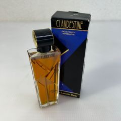 ☆新品 未使用 未開封 香水☆CHANEL シャネル COCO NOIR ココヌワール