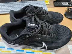 ナイキ ペガサス40 ランニングシューズ 290