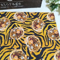 Item thumbnail for item d2ba7d2f-4a4d-417c-9e37-db0a5021b5cf