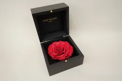 2026年最新】ローズギャラリーの人気アイテム - メルカリ