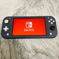 【感動品】Nintendo Switch lite　グレー