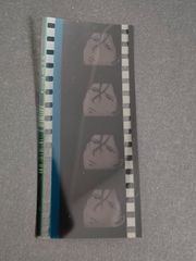 eb313 Free! - the Final Stroke コマフィルム 松岡凛 フリー カード