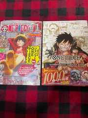 【未開封品】 ワンピースマガジン 20 ワンピースカードコンプリートガイド 2冊セット