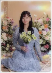 【中古】コレクションカード(乃木坂46) 227[ノーマル]：乃木坂46/金川紗耶/NB-F-2507/「乃木坂46 Mobile 真夏の全国ツアー2025 のぎBOXライト Blooming Fairy Town ～NOGI LAND～」モバカ