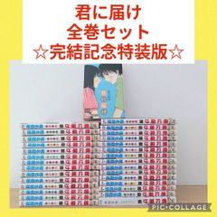 ベルセルク 1〜43巻 全巻セット - メルカリ