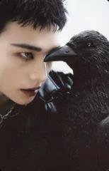 【中古】コレクションカード(男性) Stray Kids/ヒョンジン(Hyunjin)/CD「SKZ IT TAPE ’DO IT’」(PLATFORM PLVE VER.)封入フォトカード