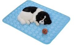 Item thumbnail for item 23683ad1-b64c-4db4-8faa-58cb85d42a28