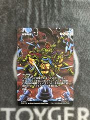 MTG 楽園チョコボ 日本語 ボーダーレス FOIL版 4枚セット - メルカリ