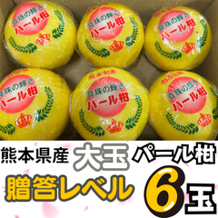 パール柑 贈答用 レシピ付き！春の味覚！爽やか パール柑 ６玉 熊本県産 訳あり さっぱりお花見 お弁当に 春の味 文旦系 ぶんたん 柑橘 味は逸品 お買い得
