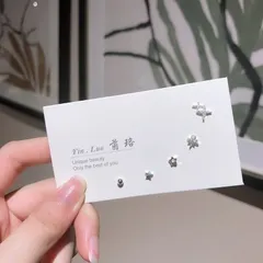 セットピアス スターモチーフ ラインストーン シルバー ピアス 両耳用 ミニピアス シンプル 重ね付け 控えめ デイリーコーデ カジュアル オフィスカジュアル 韓国アクセ