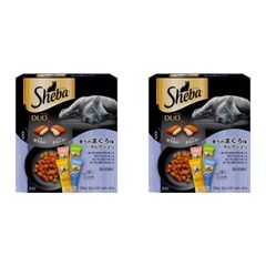 店舗展示品】 ストウブ ラウンドココット 22cm シャイニーブラック