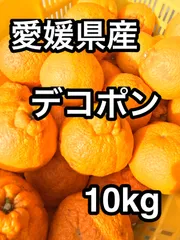 【愛媛県産 デコポン 不知火 10kg】濃厚甘み・ジューシー 家庭用 産地直送 送料無料