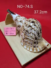 2026年最新】ホラガイの人気アイテム - メルカリ