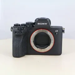2026年最新】sonyα7ivの人気アイテム - メルカリ