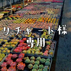 リチャード様専用