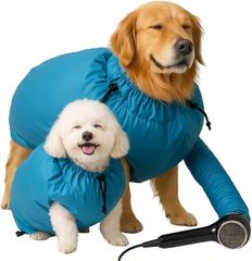 Item thumbnail for item 056e4dd7-0a17-4624-a12c-68b70167d78f