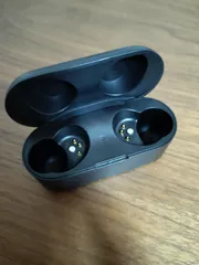 Technics EAH-AZ40M2 充電ケースのみ　ブラック