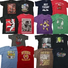 古着卸 まとめ売り キャラクター 半袖Tシャツ 15枚セット (メンズ L ) ナルト サンリオ マリオ ディズニー スヌーピー 中古 古着 ND9860
