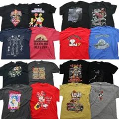 古着卸 まとめ売り キャラクター 半袖Tシャツ 16枚セット (メンズ XL ) ドラゴンボール ナルト ソニック ストリートファイター 中古 ND9875