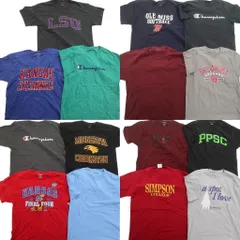 古着卸 まとめ売り チャンピオン 半袖Tシャツ 15枚セット (メンズ L ) カレッジチーム アーチロゴ ロゴ ワンポイント 中古 古着 ND9940