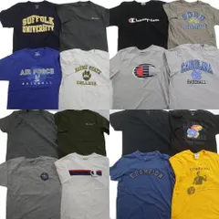 古着卸 まとめ売り チャンピオン 半袖Tシャツ 16枚セット (メンズ L /XL ) カレッジ 3段プリント カレッジチーム ワンポイント 中古 ND9938