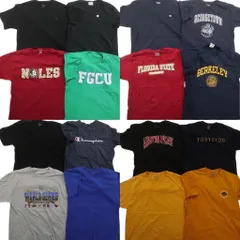 古着卸 まとめ売り チャンピオン 半袖Tシャツ 16枚セット (メンズ L ) アーチロゴ ワンポイント カレッジ風 中古 古着 ND9930