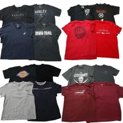 古着卸 まとめ売り ブランドMIX 半袖Tシャツ 16枚セット (メンズ 2XL /3XL ) ラコステ ディッキーズ リーバイス ノーティカ 中古 ND9941