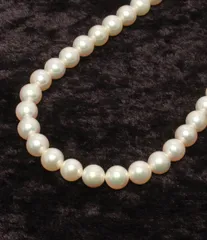 ネックレス SV パール 7.5-8.0mm レディース