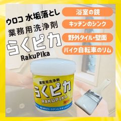 PROCA 除菌・消臭水溶液の素 3g×48包 2個セット定価15,000円 - メルカリ