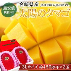 太陽のタマゴ 宮崎完熟マンゴー 秀 1玉 5L 本日購入 - メルカリ