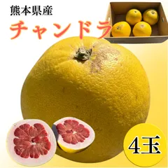 2026年最新】チャンドラポメロの人気アイテム - メルカリ