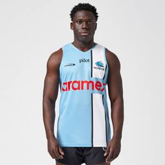 Item thumbnail for item 51cfa694-e99f-4fbb-b97c-76cc4947535a