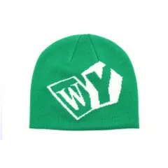 WASTED YOUTH (ウェイステッドユース) グラフィック ロゴ ビーニー ニット帽 グリーン WY25GD013
