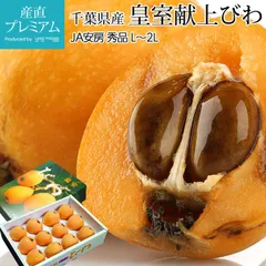 ◉皇室献上◉ 房州びわ 秀品 L〜2Lサイズ 高級フルーツ 初夏の女王 産地直送 贈答用 ギフト JA安房 びわ 大粒 ✨