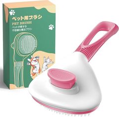 Item thumbnail for item 17f9e678-cc16-48f1-b26b-f3f4b9250818