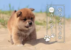 【中古】カレンダー 柴の子犬ごよみ 2026年カレンダー Wan 2026年1月号特別付録のサムネイル